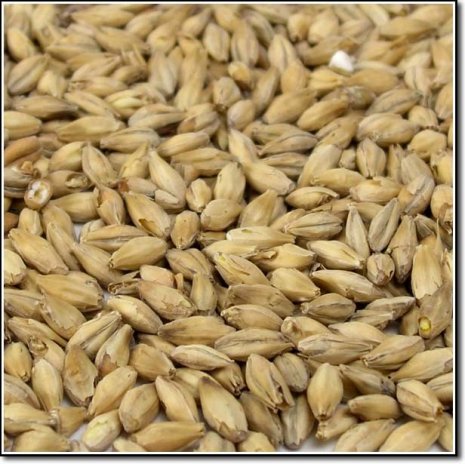 Thomas Fawcett Vienna Malt Crushed Grain 500g