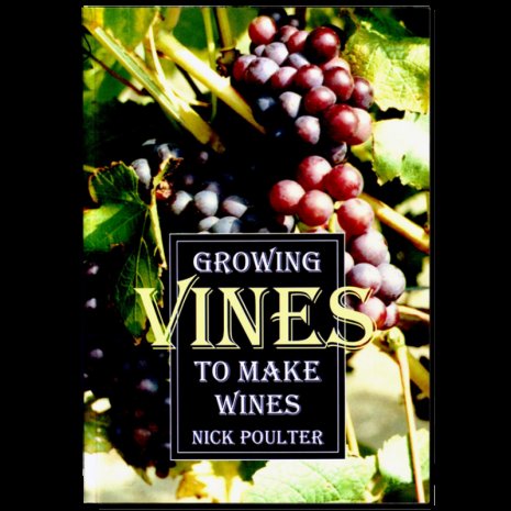 Growing Vines to Make Wine