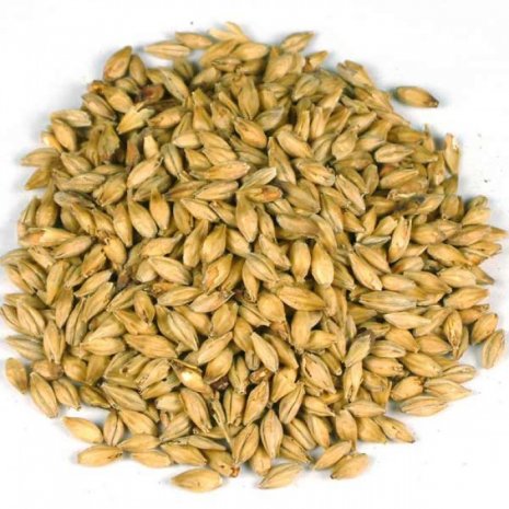 Crystal Rye Malt 500g Thomas Fawcett  - crushed or uncrushed grain