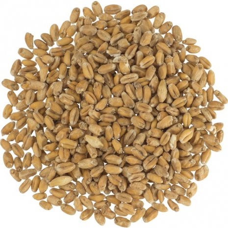 Thomas Fawcett Wheat Malt Crushed Grain 500g