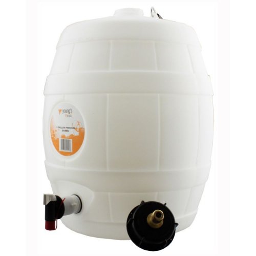 5 G/25L Food Grade Plastic Home Brew Barrel with 2in neck and tap at the bottom: 5 Gallon Barrel with cap with stainless Steel pin 